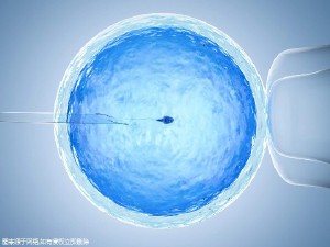 关于{ k1=g1 }
